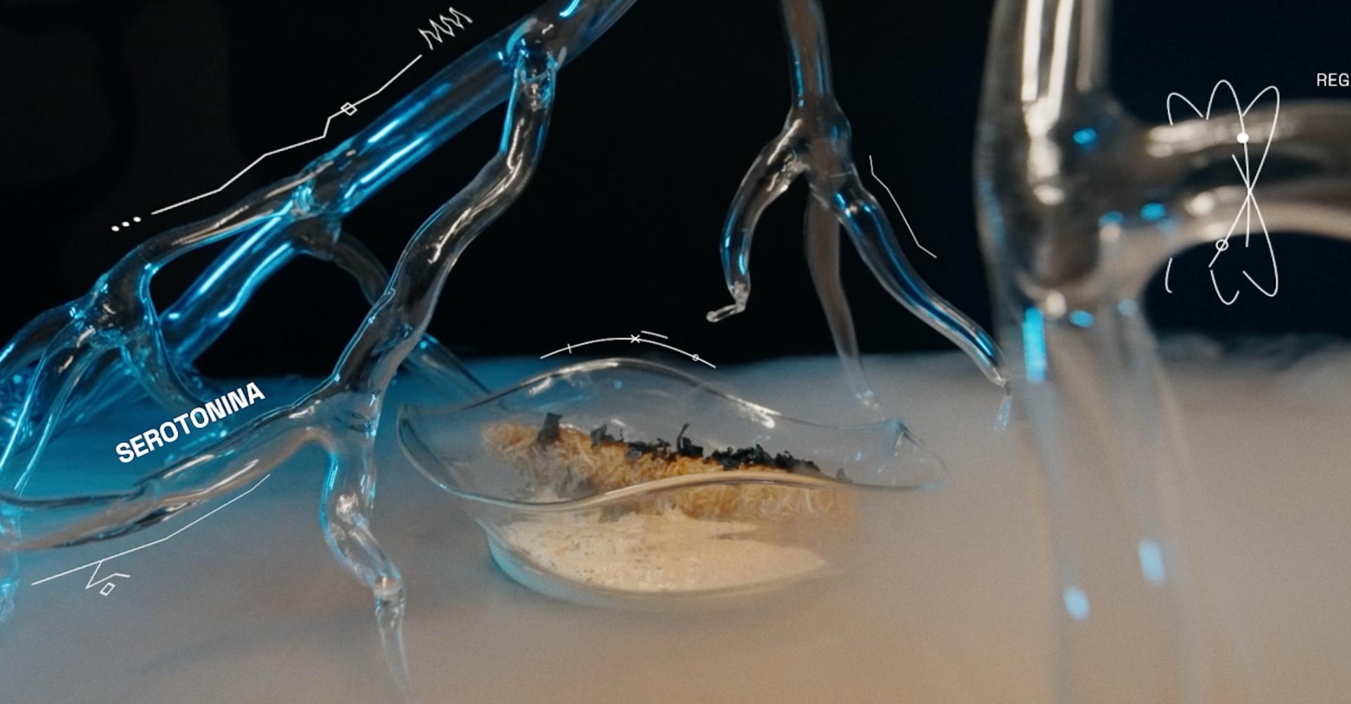 Alimento futuro The Click Clack Hotel Bogotá Bogota Alimento futuro The Click Clack Hotel Bogotá Bogota