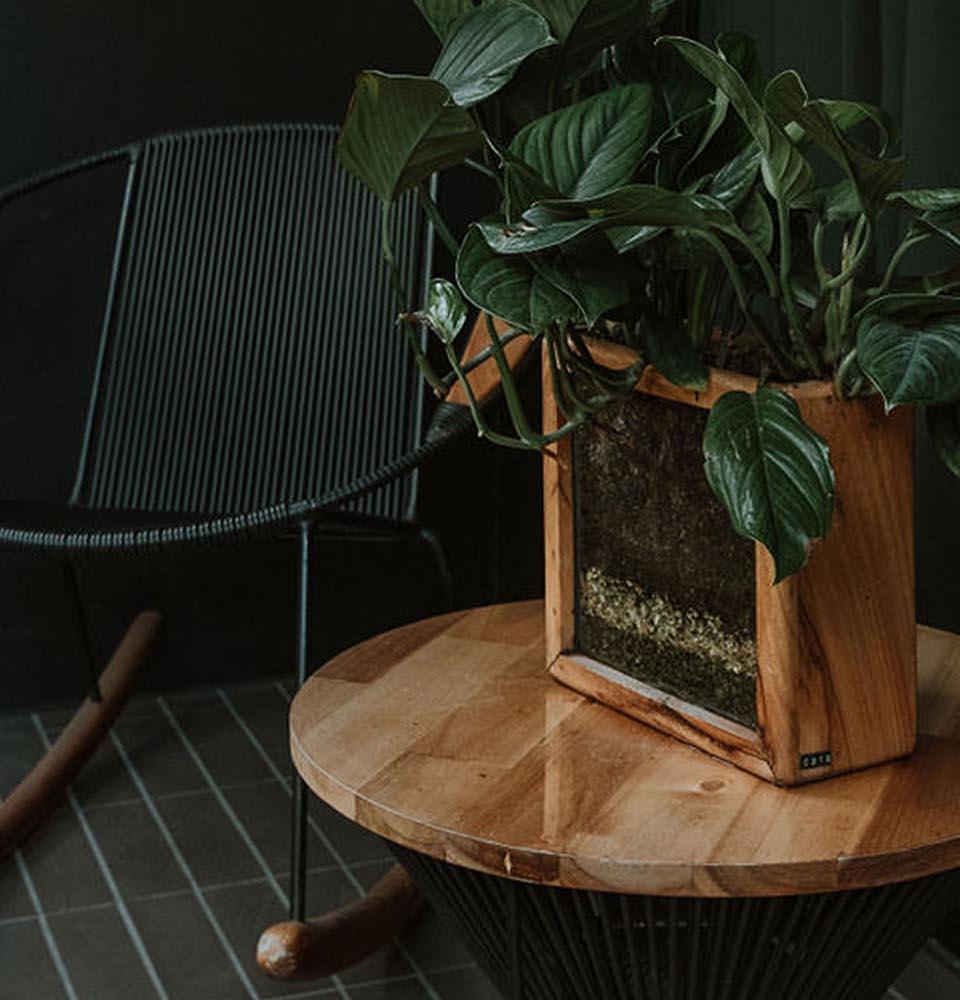 MT - Superior Twin The Click Clack Hotel Medellín Medellin MT - Superior Twin The Click Clack Hotel Medellín Medellin